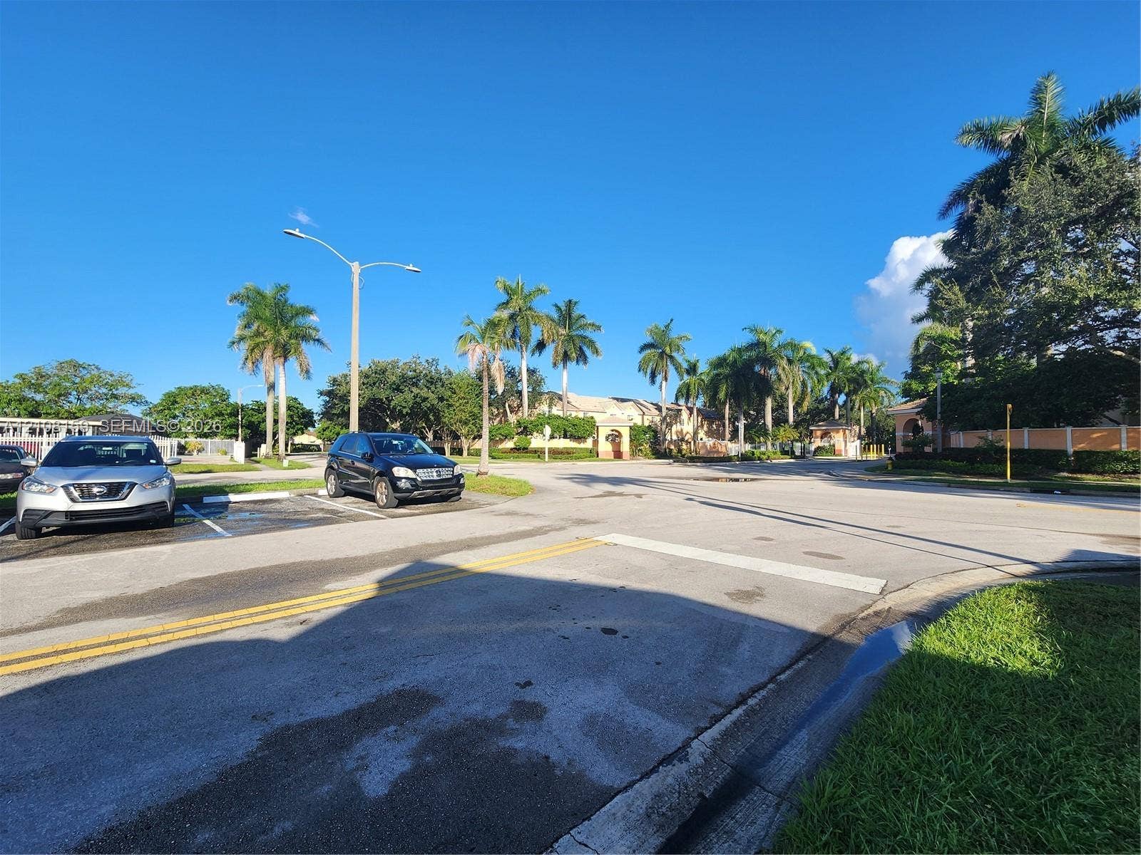 Asphalt parking area featuring designated spaces, paved roadways, and mature palm trees