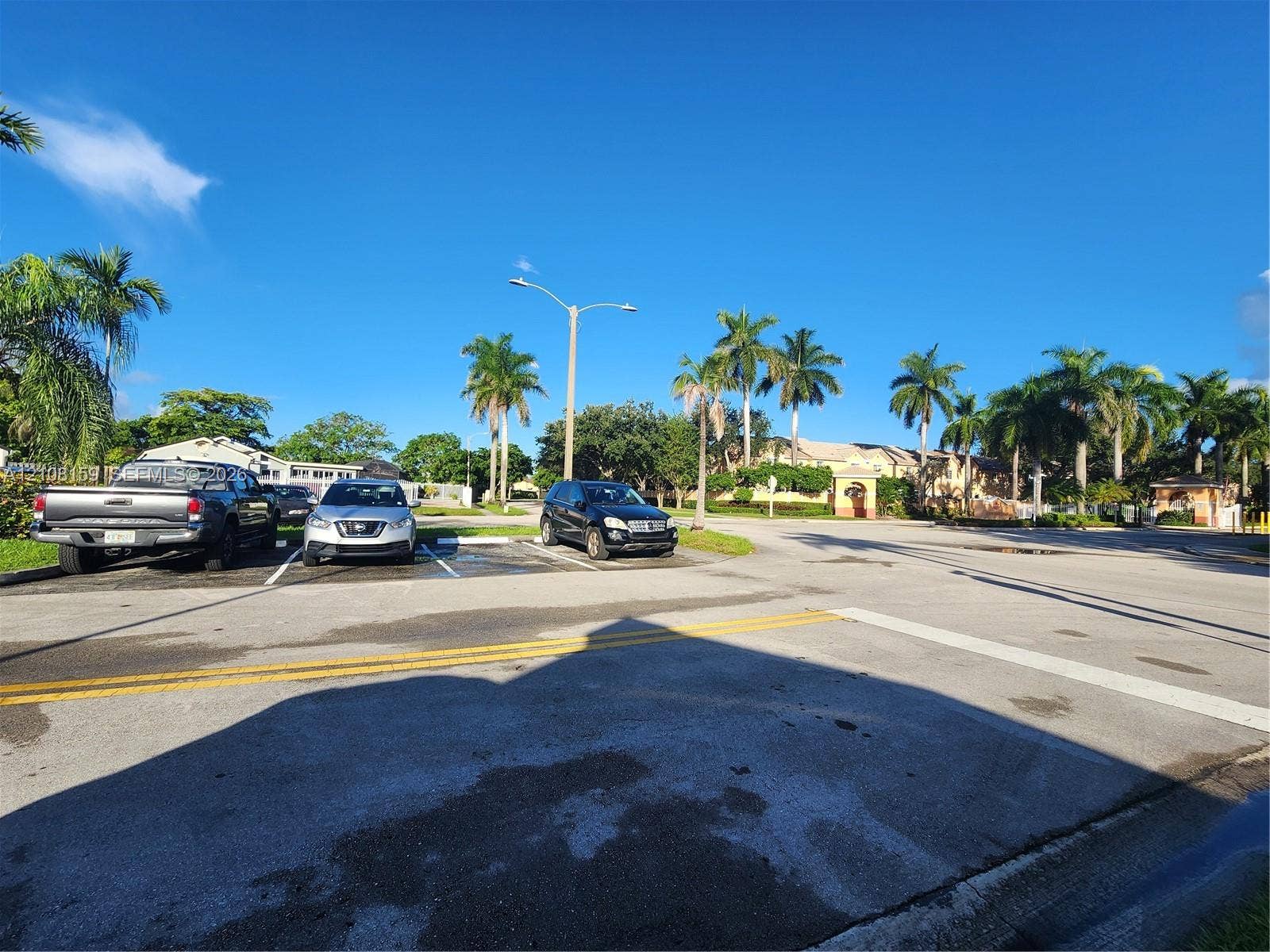 Paved surface parking area featuring marked spaces, overhead street lighting, and mature palm tree landscaping