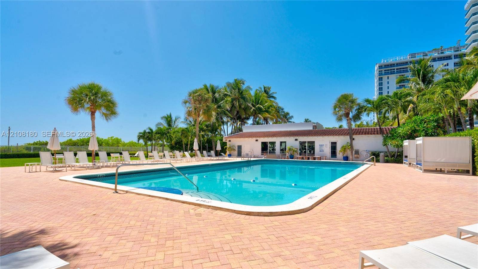 2457 Collins Avenue, #1501, Miami Beach, FL 33140 Swimming pool featuring a terra-cotta paver deck, metal pool ladder, and mature palm trees