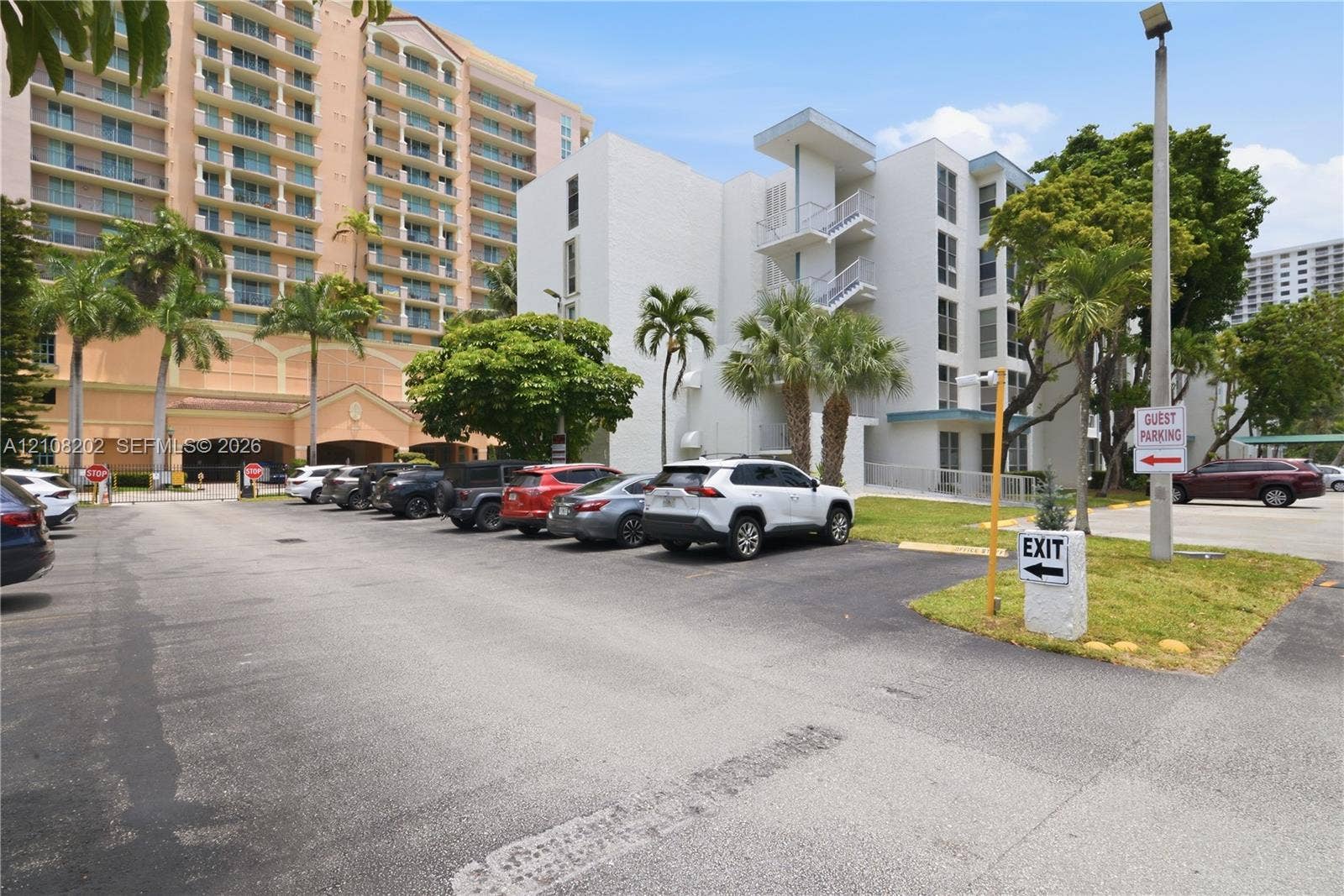 Asphalt-paved surface parking lot featuring designated guest parking and mature palm trees
