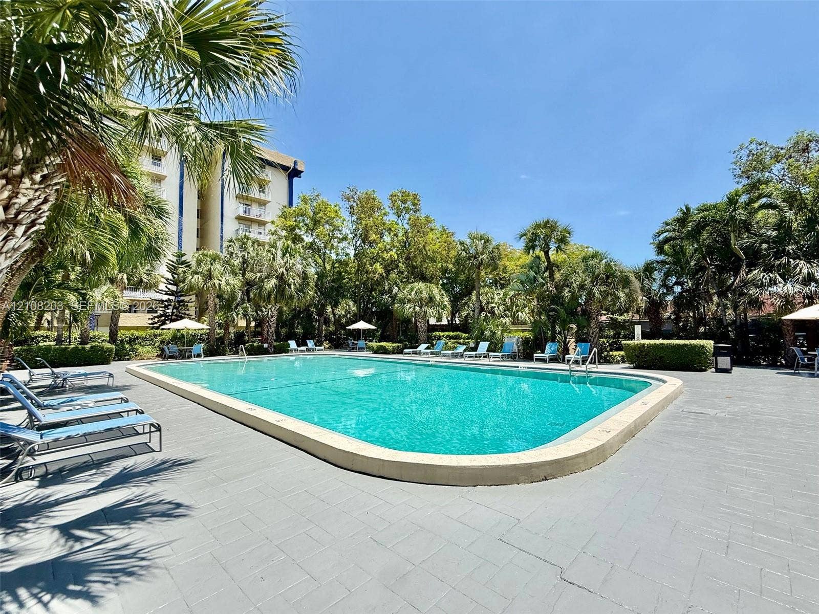 801 NW 47th Avenue, #619W, Miami, Miami, FL 33126 In-ground swimming pool featuring a concrete surround, palm tree landscaping, and perimeter privacy hedges