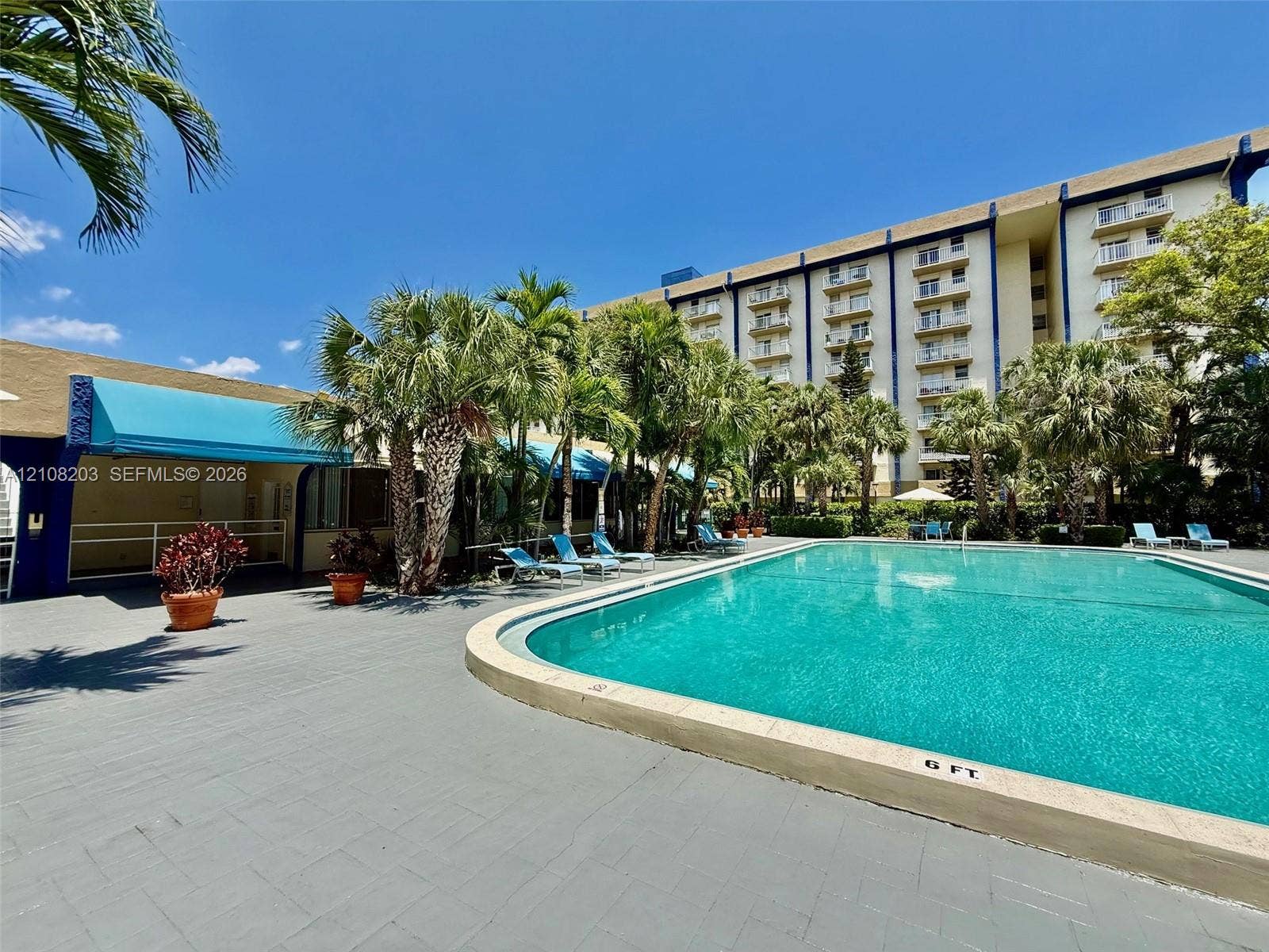 801 NW 47th Avenue, #619W, Miami, Miami, FL 33126 In-ground swimming pool featuring a concrete surround, turquoise fabric awnings, palm tree landscaping, and multi-story building facade