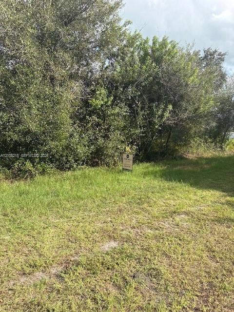 Parcel of land featuring native grasses and mature perimeter vegetation