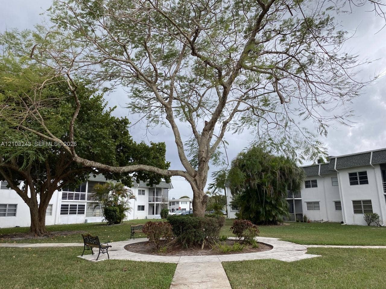 6505 Winfield Boulevard, #B-16, Margate, FL 33063 Landscaped grounds featuring a stone-paved central path and a circular paver accent surrounding a mature tree