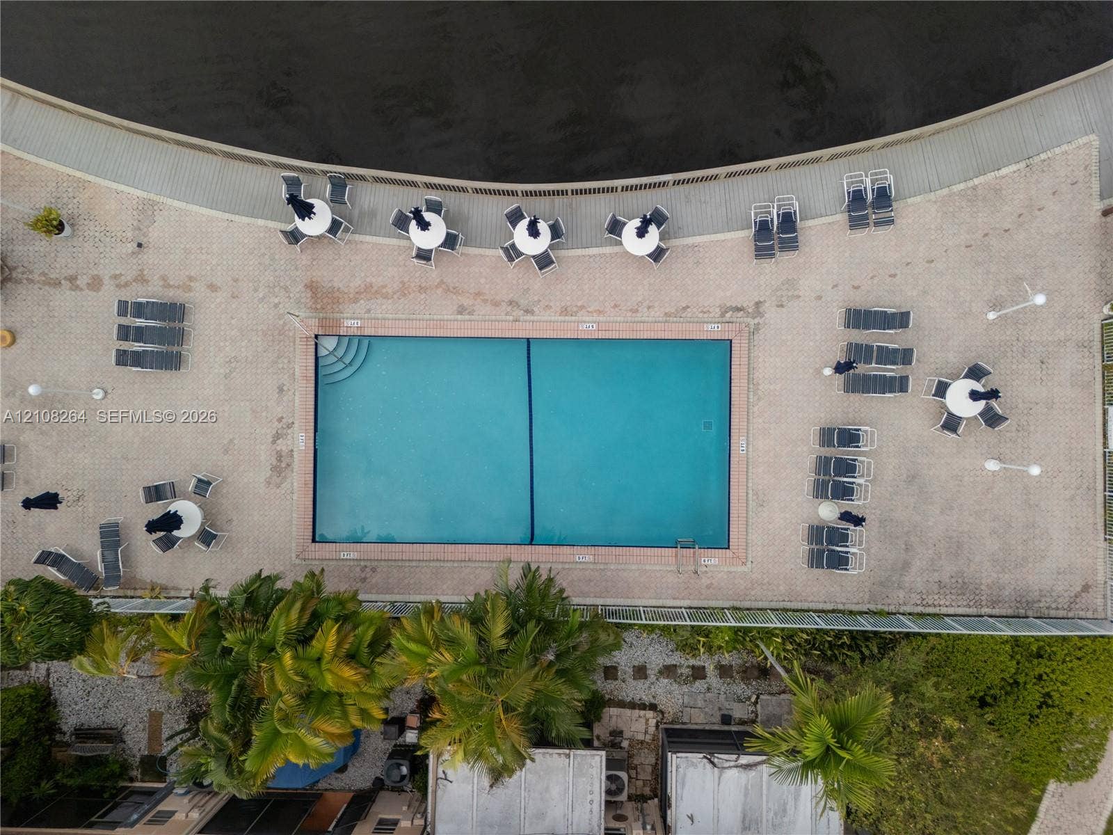 Rectangular swimming pool featuring a masonry surround, a curved wooden deck, and mature palm trees