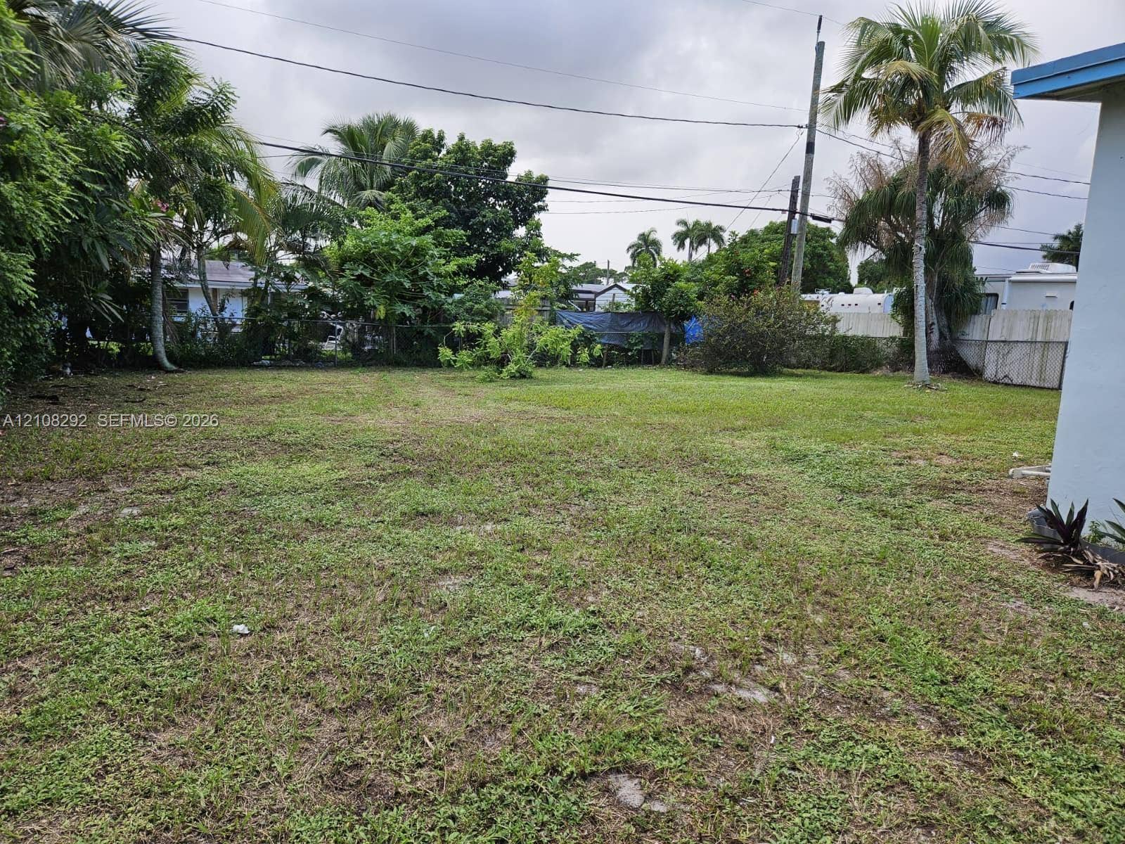 3556 N 10th Avenue N, Palm Springs, FL 33461 Expansive backyard featuring mature palms, established landscaping, and perimeter fencing