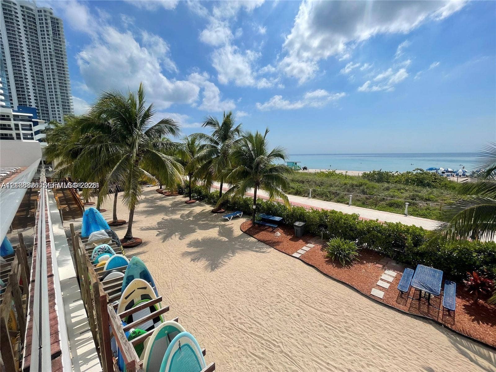 6039 Collins Avenue, #1208, Miami Beach, FL 33140 Sandy outdoor space featuring mature palm trees, perimeter landscaping, and stone pathways