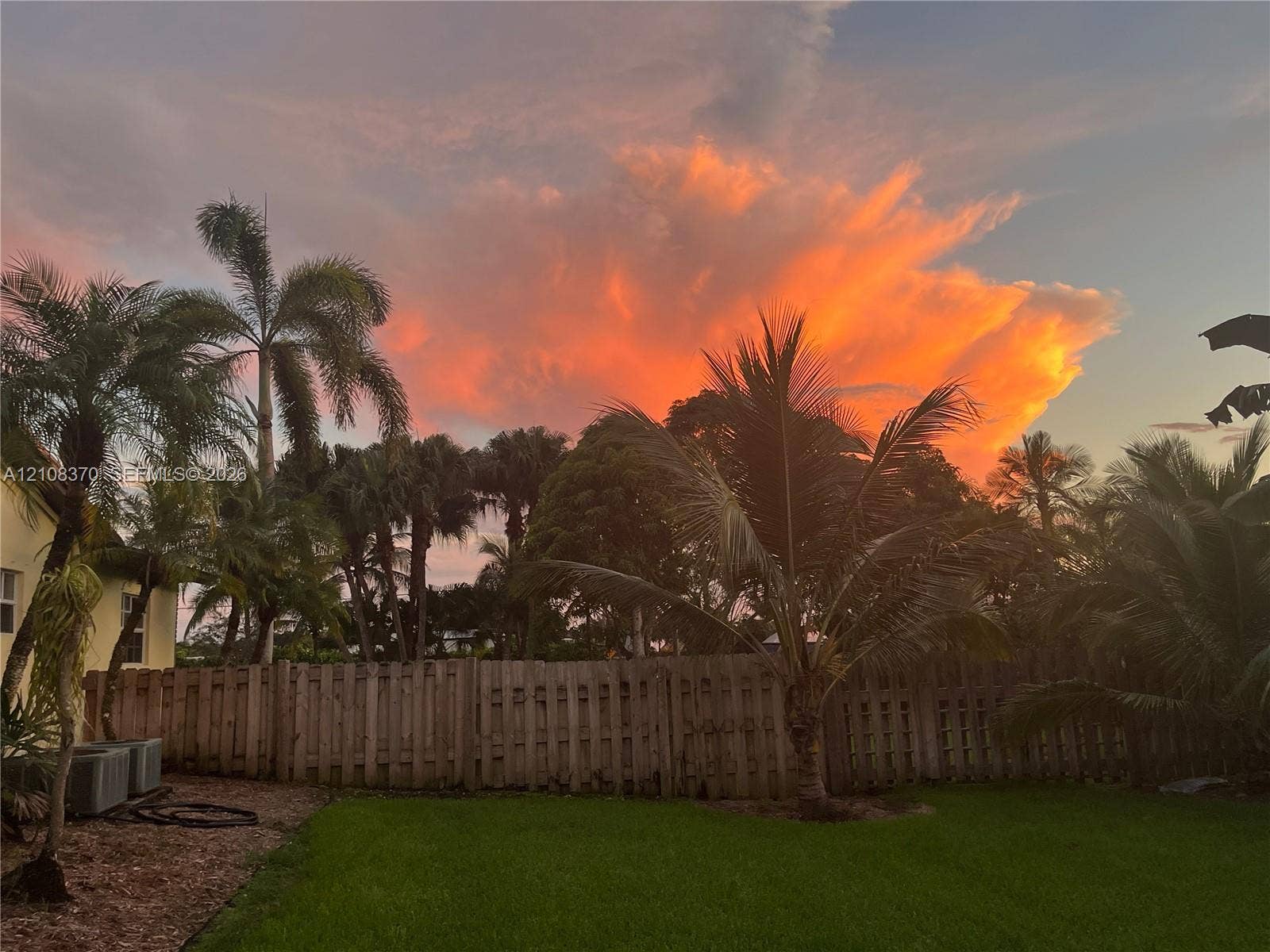 18901 SW 63rd Street, Southwest Ranches, FL 33332 Exterior grounds featuring a manicured lawn, mature palm trees, and a wood privacy fence