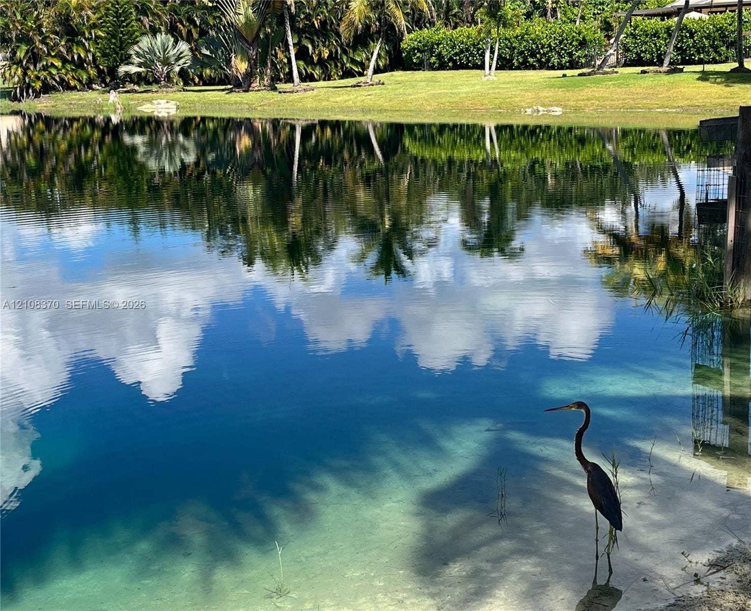 18901 SW 63rd Street, Southwest Ranches, FL 33332 Waterfront property featuring a clear pond with a sandy shoreline, manicured grassy expanse, and mature palm trees