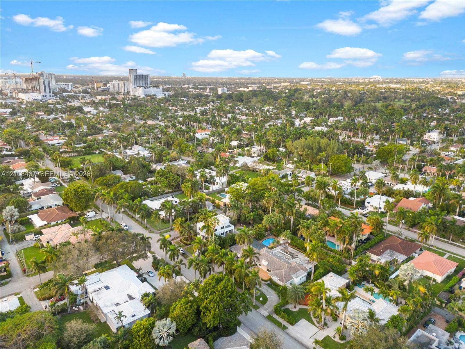 Aerial perspective of a tropical residential community featuring dense canopy trees, manicured lawns, paved street infrastructure, and proximity to an urban skyline