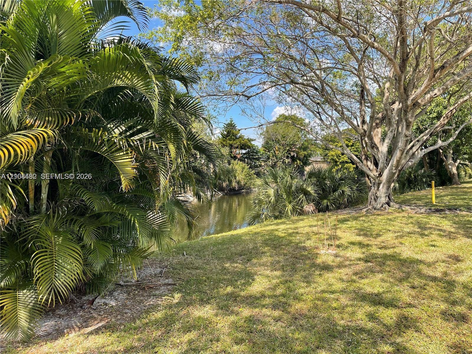 Waterfront grounds featuring mature palm trees, established hardwood trees, and expansive grass lawns