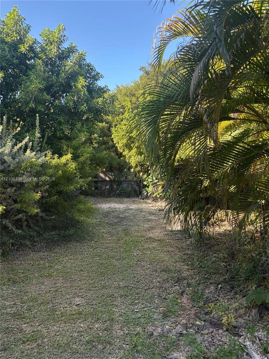 Expansive backyard featuring mature palm trees, dense perimeter landscaping, and a wood-slat privacy fence