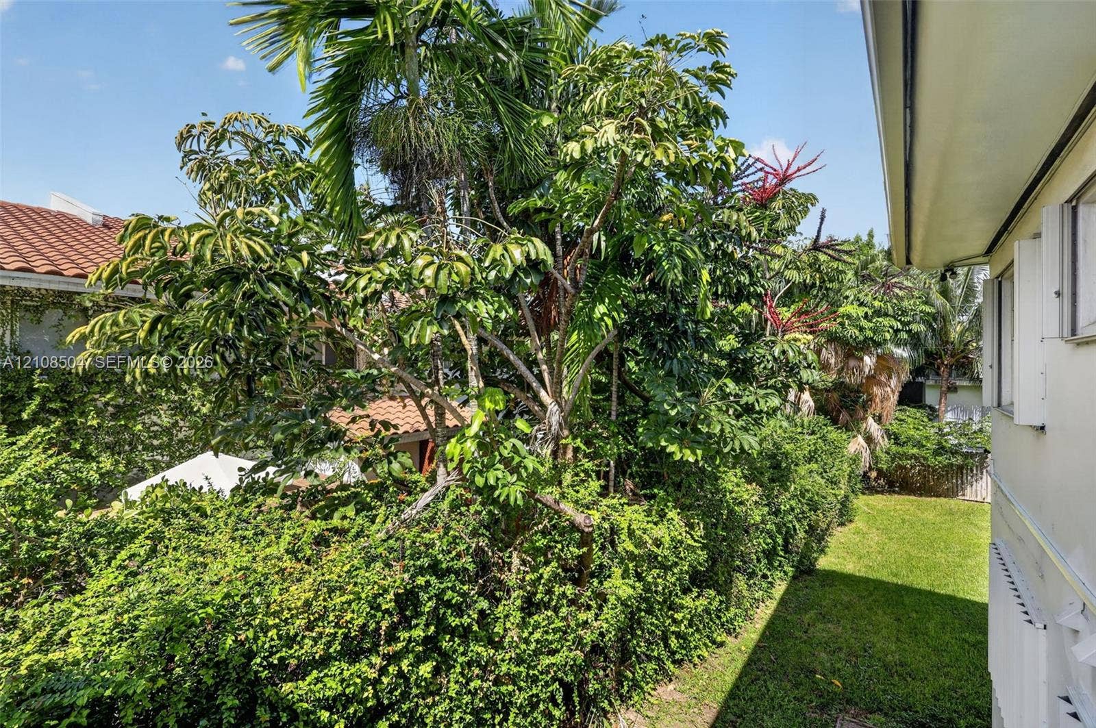Exterior side yard featuring a manicured lawn, established landscaping, and mature palm trees
