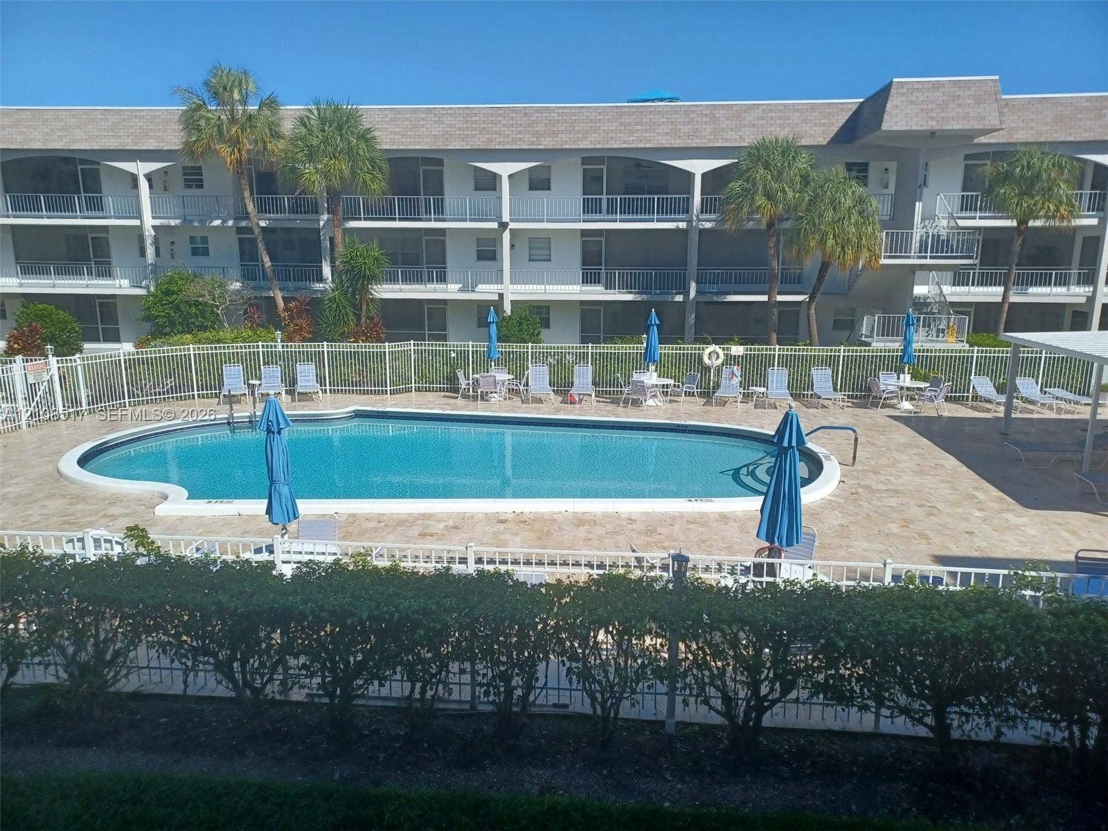 541 Blue Heron Drive, #204, Hallandale Beach, FL 33009 In-ground swimming pool with stone-tiled patio, perimeter fencing, and established palm trees