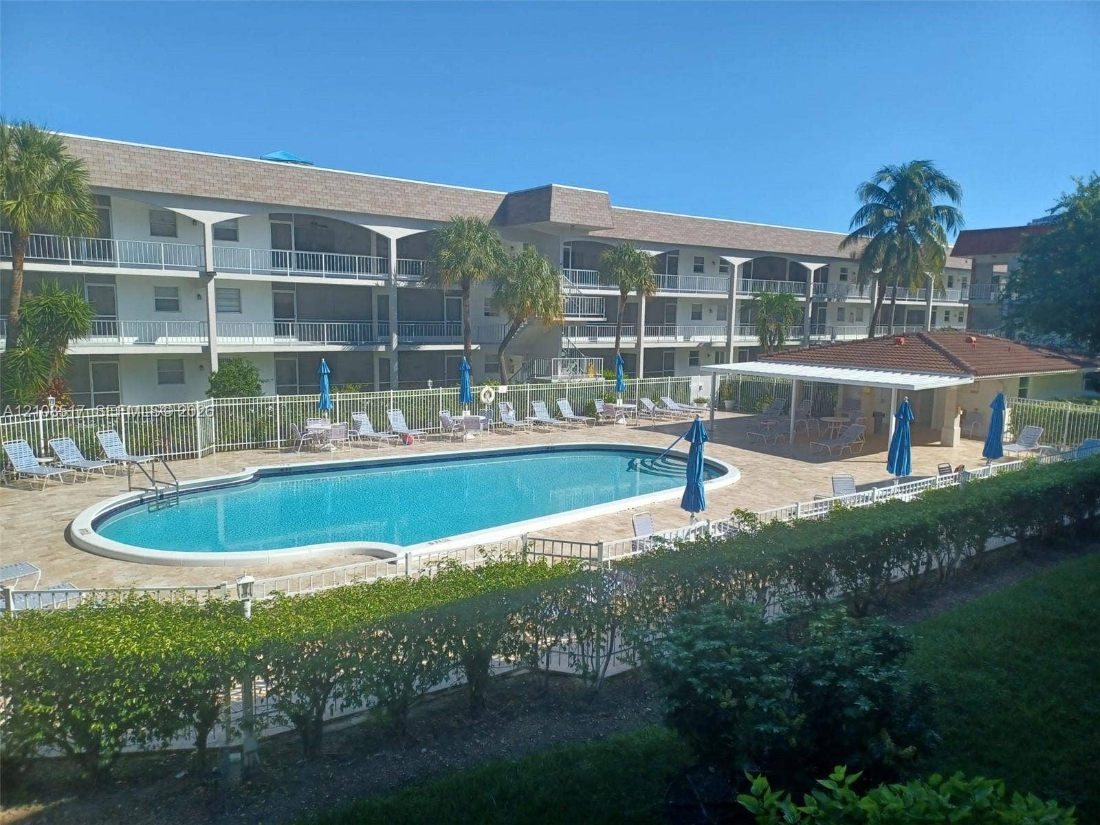 541 Blue Heron Drive, #204, Hallandale Beach, FL 33009 In-ground swimming pool featuring a curved concrete perimeter, paved deck, metal perimeter fencing, and an attached covered patio structure
