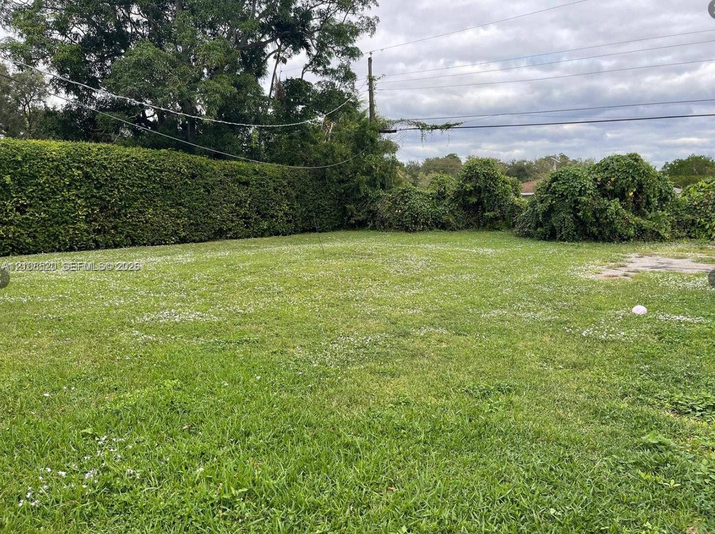 4536 SW 24th Avenue, Dania, Dania Beach, FL 33312 Expansive backyard featuring an open lawn and mature perimeter hedging