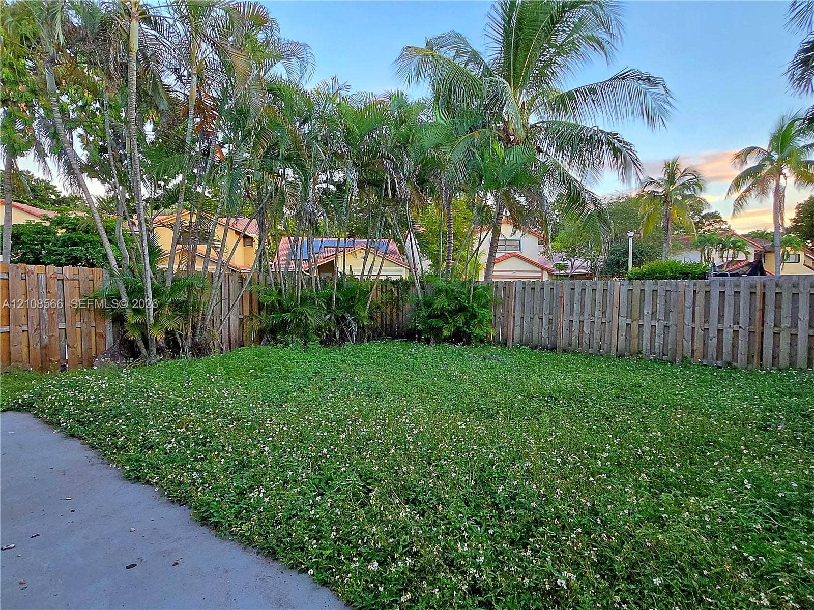 Backyard featuring mature palm trees, a grass lawn, and a wooden privacy fence