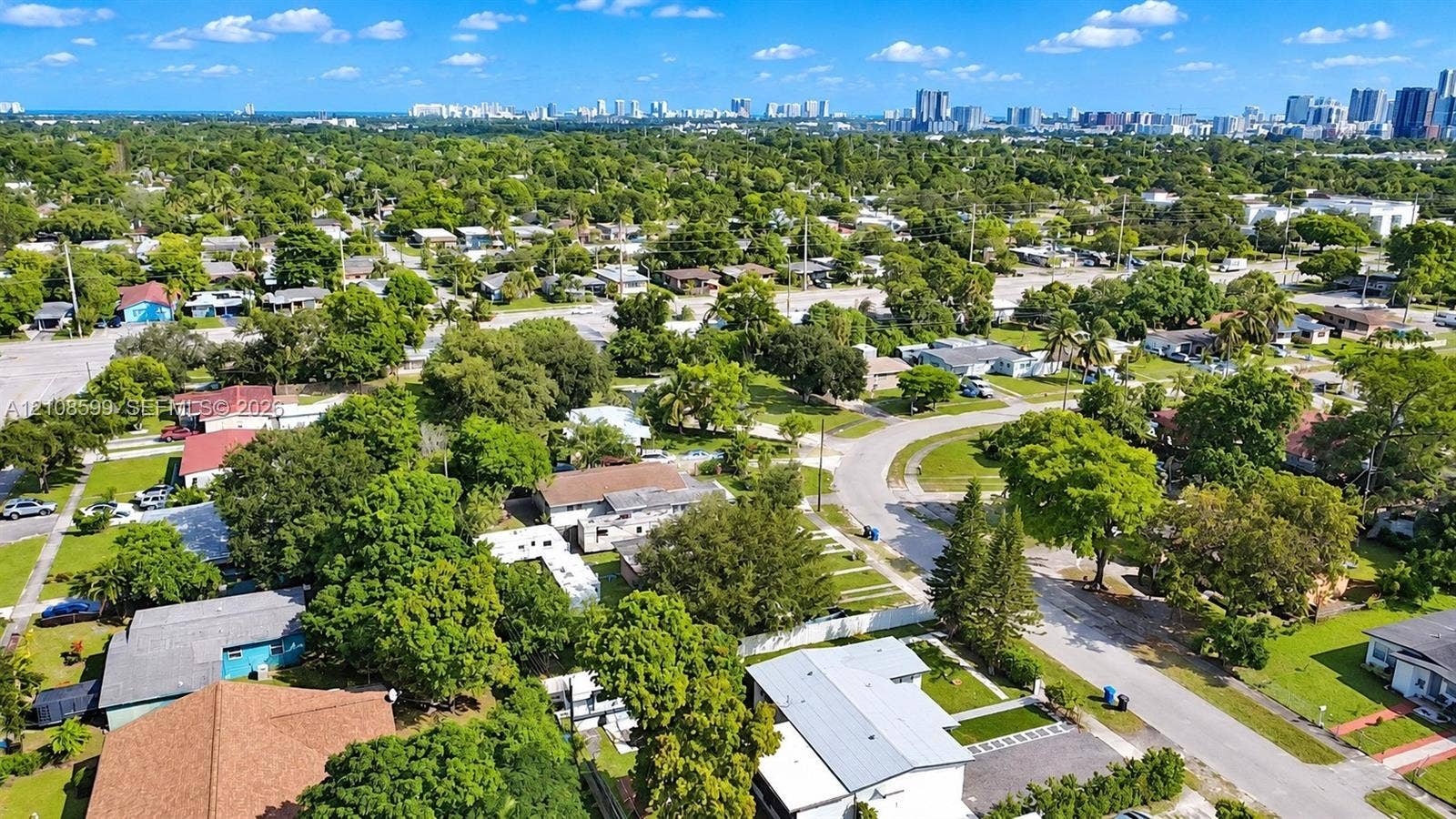Aerial perspective showcasing a mature residential neighborhood with extensive tree canopy and a cityscape skyline on the horizon