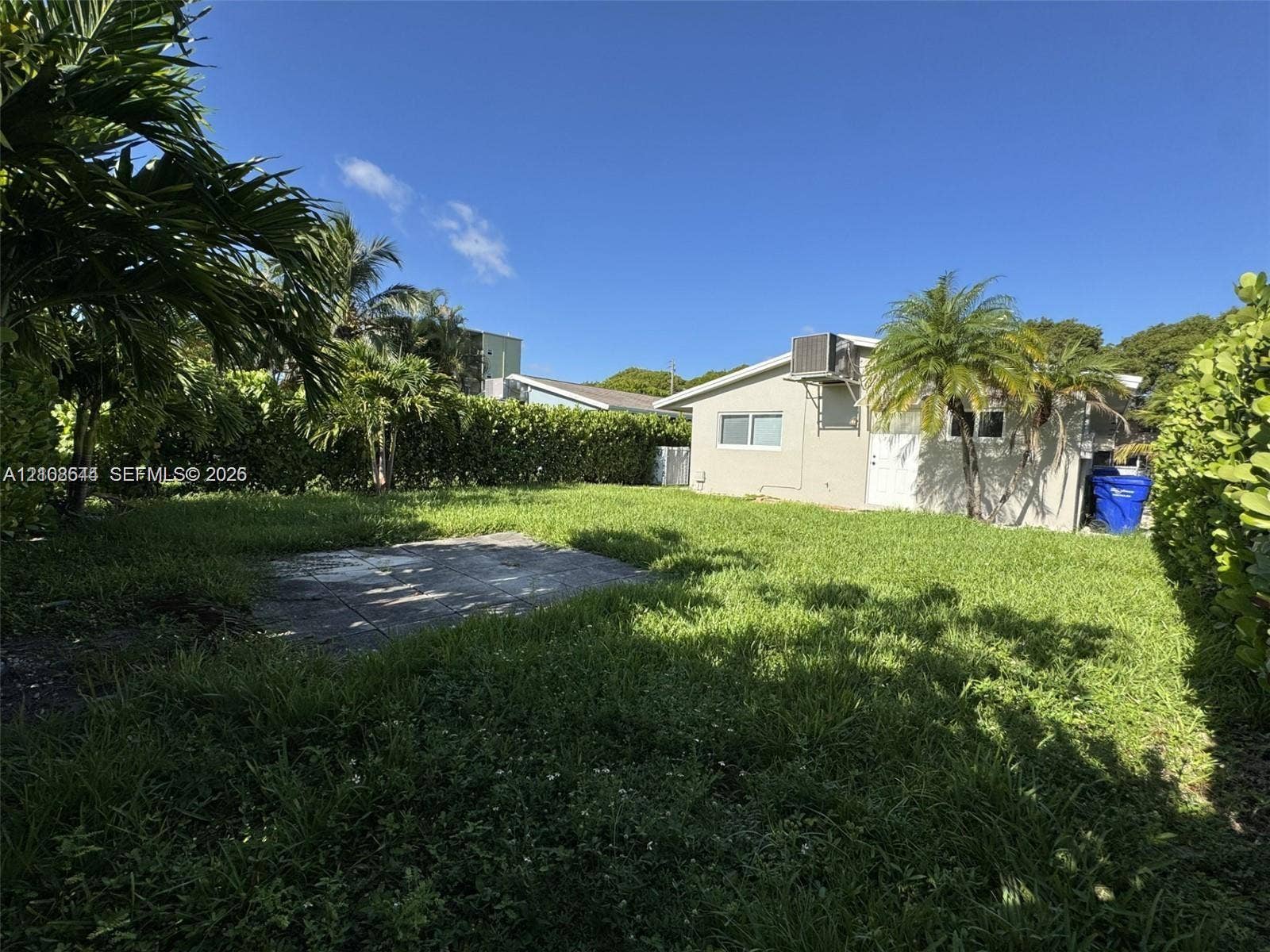 1431 N 14th Way, #rear, Hollywood, Hollywood, FL 33020 Private backyard featuring a concrete patio, perimeter hedges, and mature palm trees