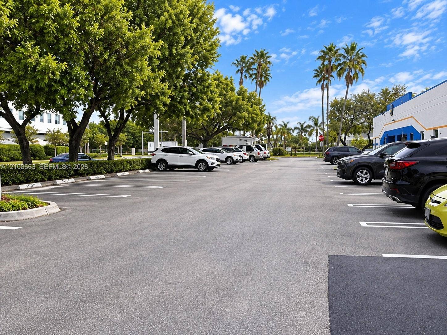 Doral, Doral, FL 33166 Paved asphalt parking area featuring marked spaces, concrete curbing, and mature landscaping
