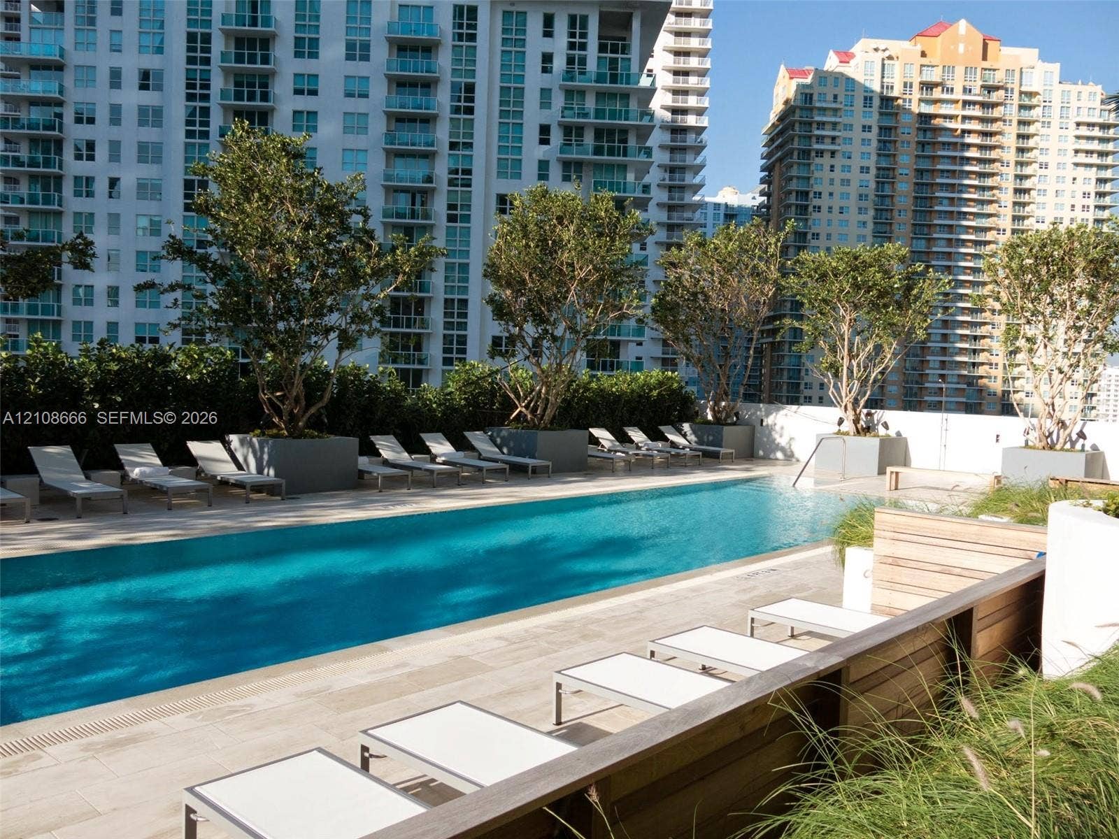 1300 Brickell Bay Drive, #3506, Miami, FL 33131 Rectangular swimming pool featuring tile decking, integrated landscaping planters, and a perimeter wall