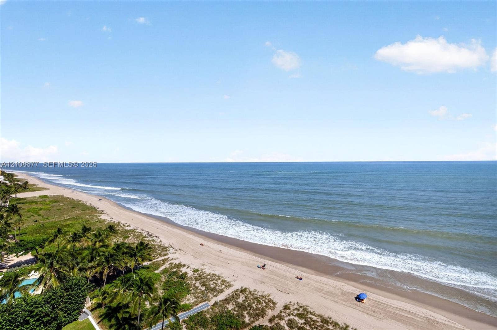 1440 S Ocean Boulevard, #11A, Lauderdale By The Sea, FL 33062 Direct oceanfront exposure featuring a sandy coastline, shoreline vegetation, and mature palm trees