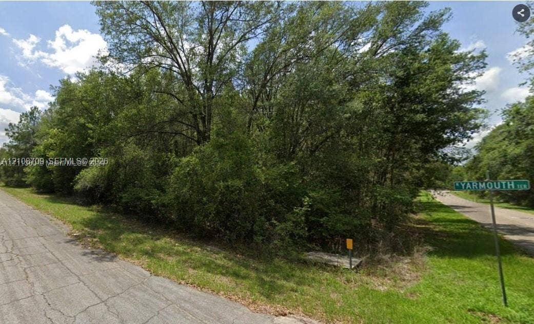 684 E Noah Lane, Citrus Springs, Citrus Springs, FL 34434 Corner lot featuring mature trees and established natural vegetation