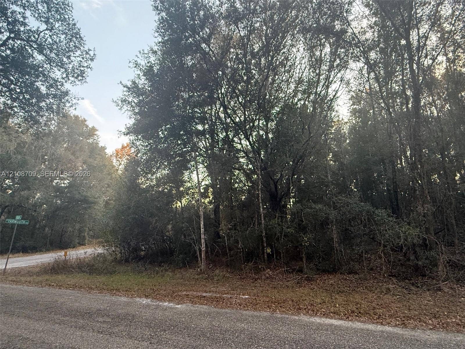 684 E Noah Lane, Citrus Springs, Citrus Springs, FL 34434 Vacant land parcel featuring mature hardwood trees and paved road frontage