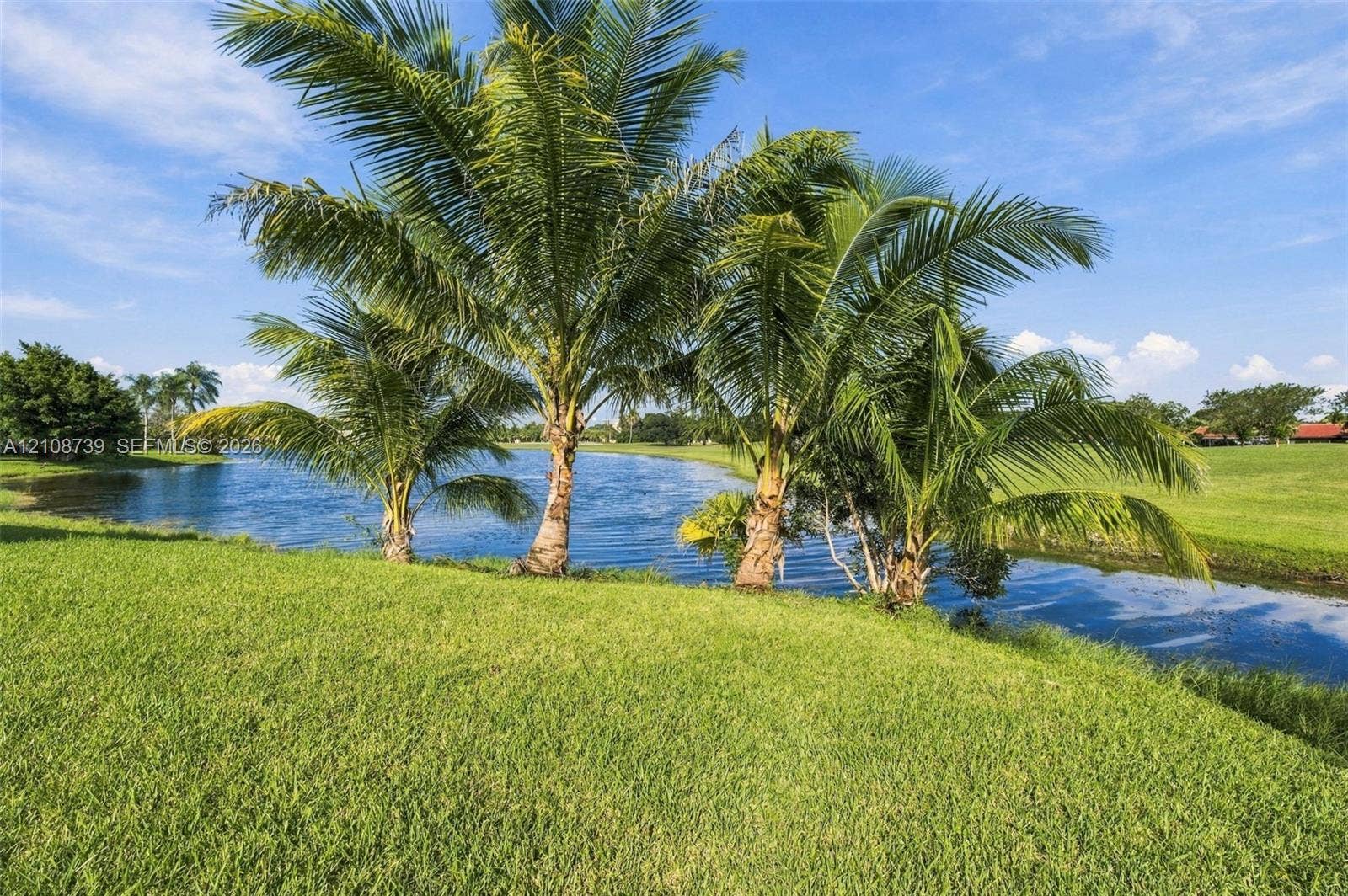 632 Village Lake Drive, Weston, FL 33326 Waterfront property featuring a manicured lawn, palm trees, and a pond