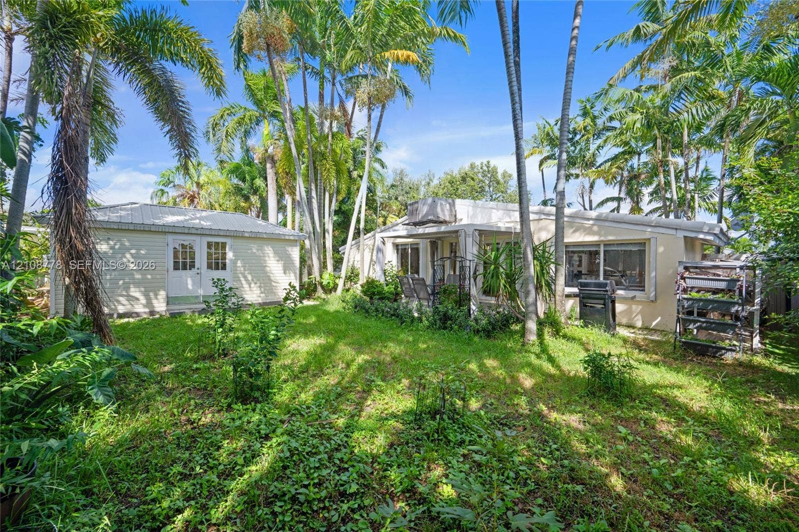 3116 Hayes Street, Hollywood, FL 33021 Backyard space featuring mature palm trees, a detached secondary structure, and an expansive lawn area