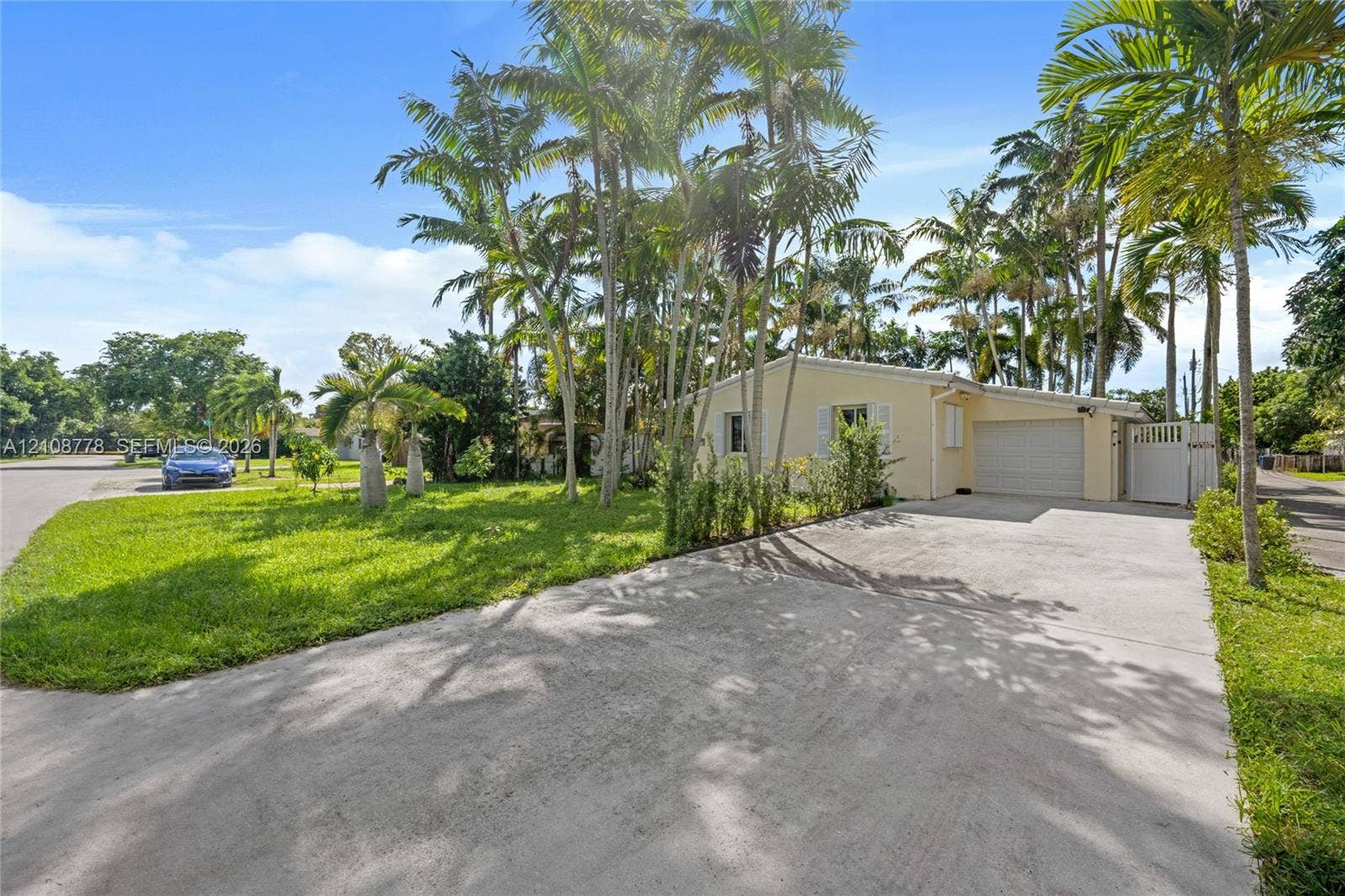 3116 Hayes Street, Hollywood, FL 33021 Exterior view featuring a single-story residence with an attached garage, concrete driveway, and mature palm trees