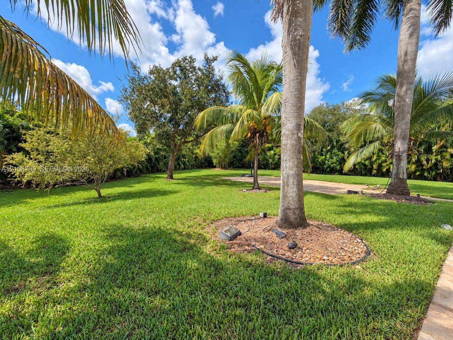 Expansive backyard featuring a manicured lawn, established palm trees, mature shade trees, and decorative mulch beds