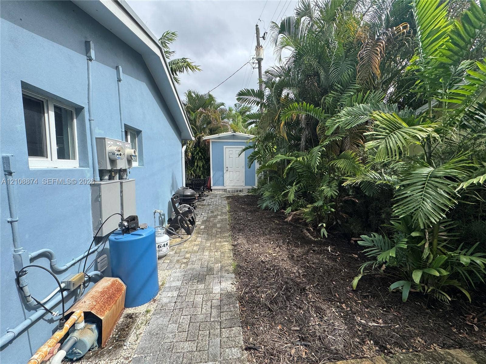 Side yard featuring a stone-paver walkway, mature palm trees, and an exterior storage structure