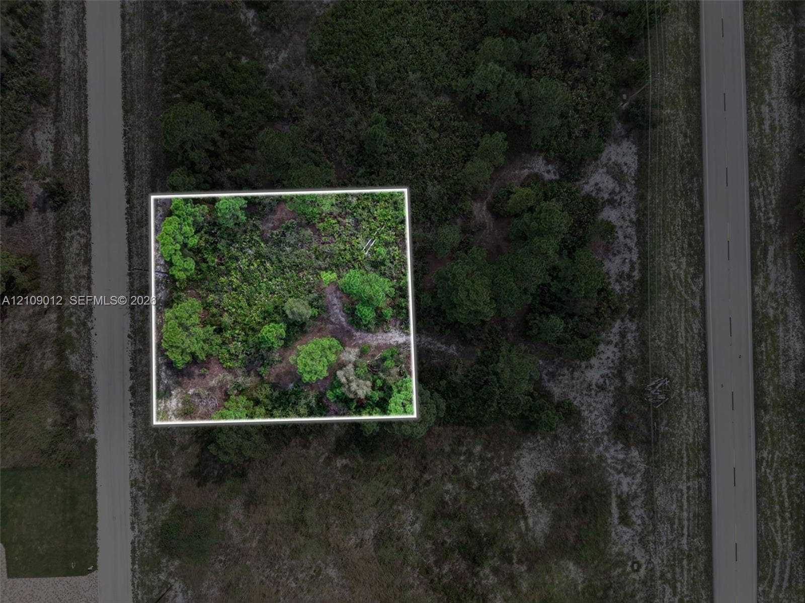 846 Burns Avenue S, Lehigh Acres, Lehigh Acres, FL 33974 Rectangular parcel featuring native vegetation and mature trees