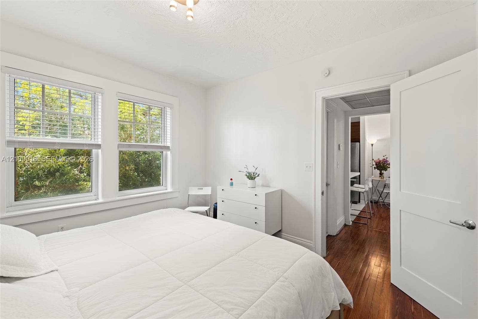 536 14th Street, #305, Miami Beach, Miami Beach, FL 33139 Interior room featuring dual-pane windows, wood-finish flooring, and a solid-core panel door