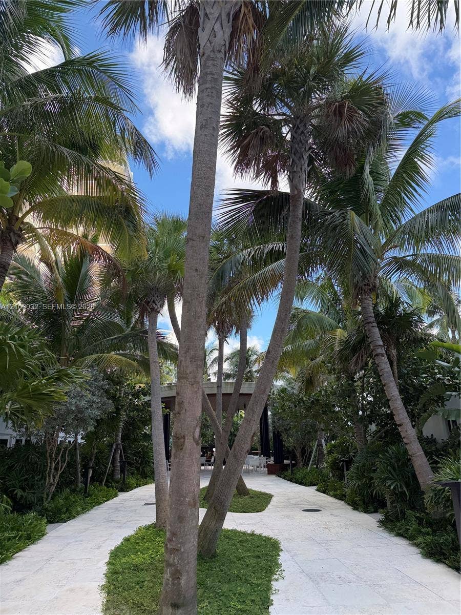 Landscaped stone pathway featuring mature palm trees and manicured ground cover