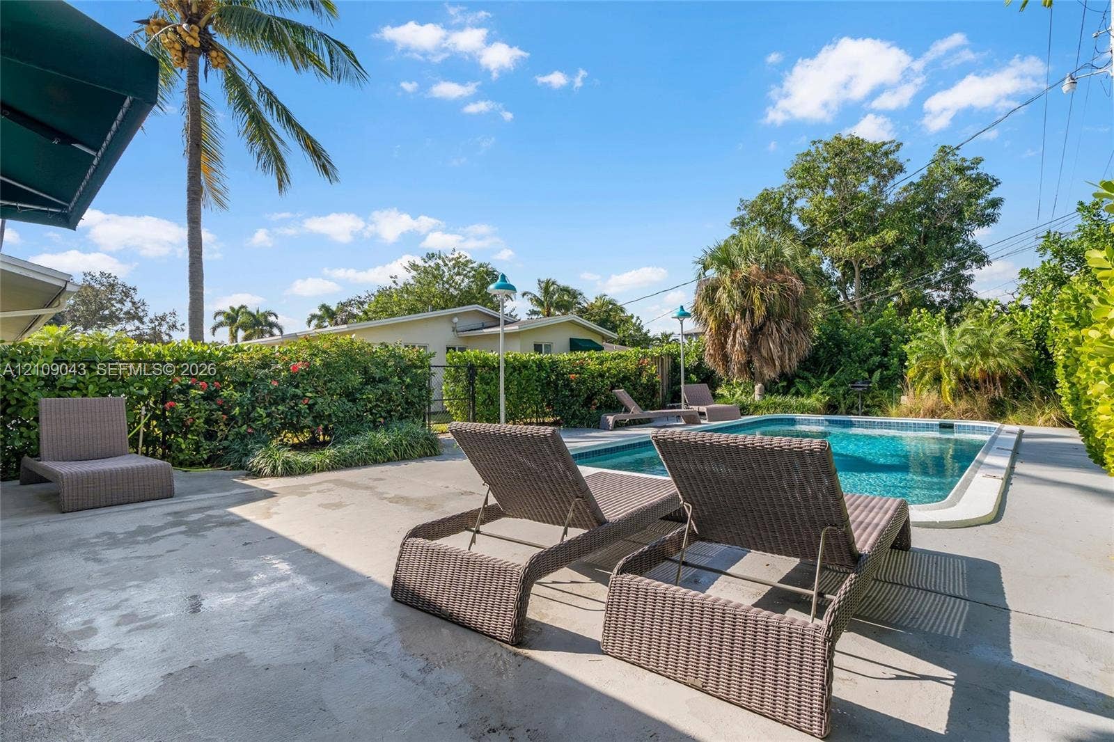 605 SW 17th Street, #1-3, Fort Lauderdale, Fort Lauderdale, FL 33315 Backyard area featuring an in-ground swimming pool, concrete patio, perimeter privacy hedge, and mature palm trees