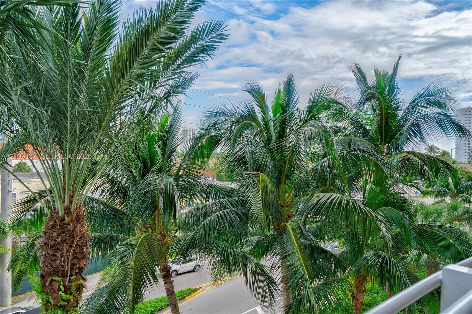 18800 NE 29th Avenue, #411, Aventura, FL 33180 Outdoor balcony space featuring metal railing and mature palm trees