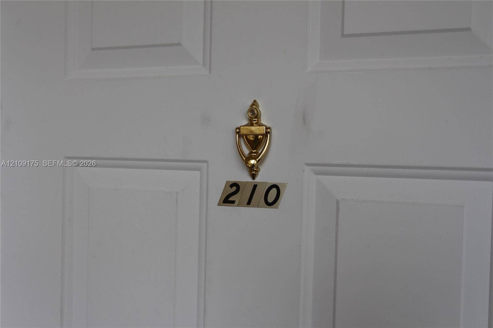 White four-panel door featuring a polished brass-tone door knocker