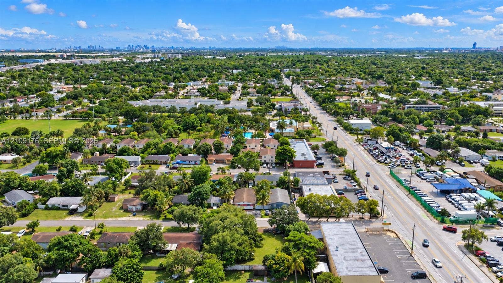 Aerial perspective of a suburban landscape featuring mature canopy trees, residential dwellings, and a distant city skyline
