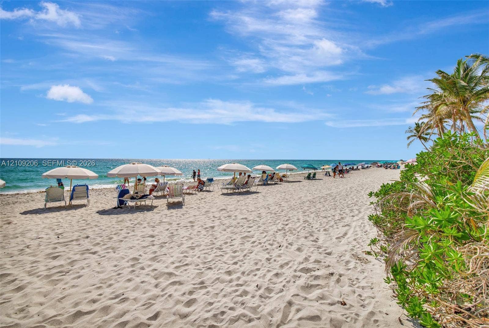 2080 S Ocean Drive, #112, Hallandale Beach, Hallandale Beach, FL 33009 Direct oceanfront access featuring expansive sandy beach, coastal vegetation, and shoreline frontage