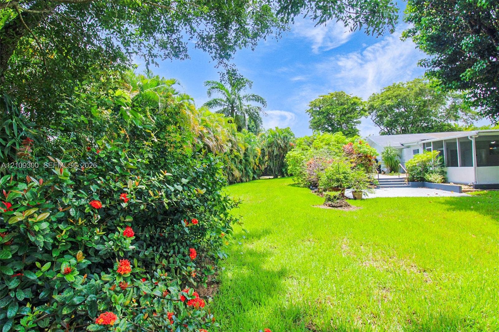 Spacious backyard featuring a manicured lawn, established perimeter hedges, mature trees, and a paved patio area