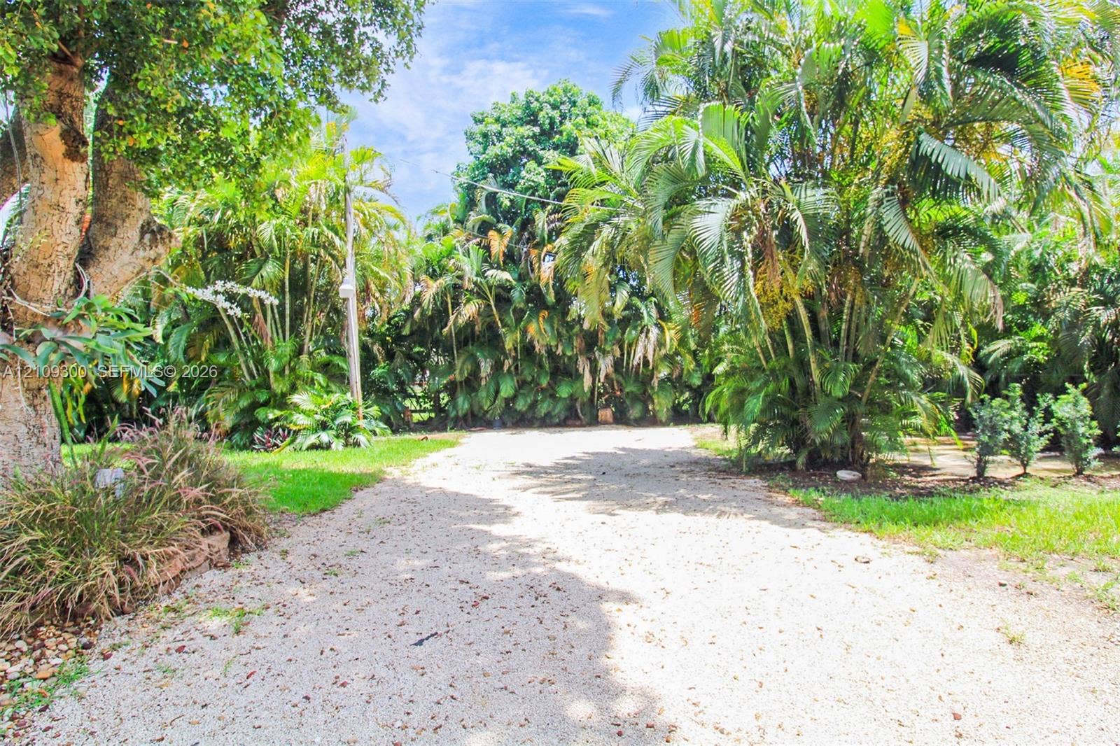 Gravel driveway bordered by lush tropical landscaping, mature trees, and manicured turf