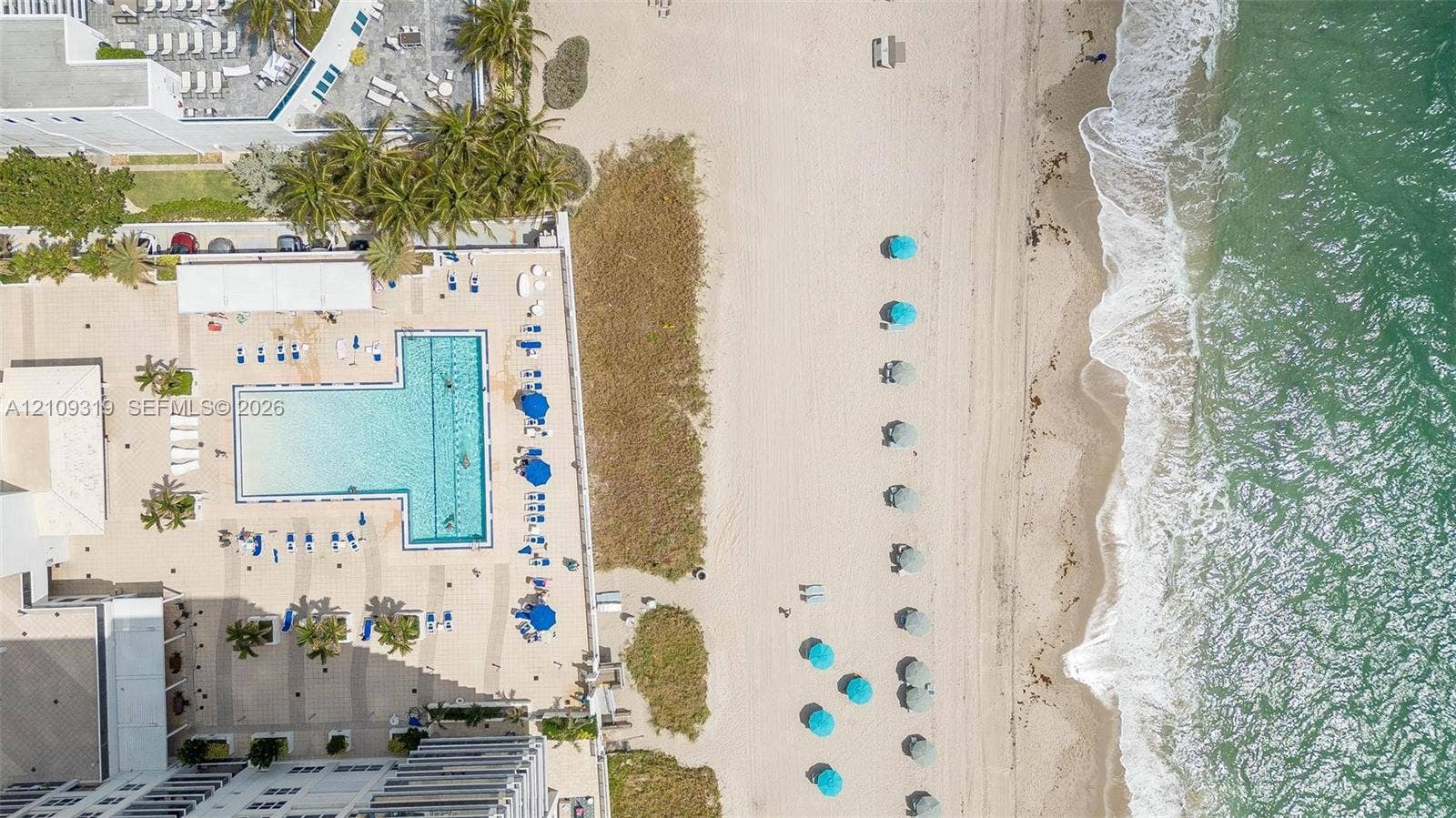 2751 S Ocean Drive, #1608N, Hollywood, FL 33019 Aerial perspective featuring a direct beachfront location, T-shaped swimming pool, paved pool deck, and mature palm trees