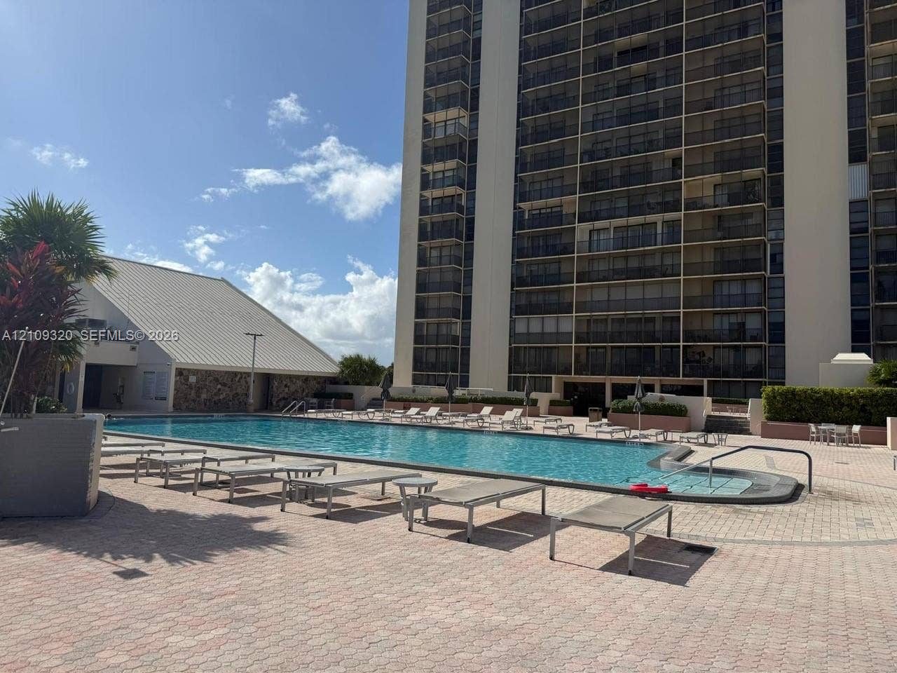 Outdoor swimming pool featuring a brick-paver deck, stone-accented retaining walls, and surrounding palm trees