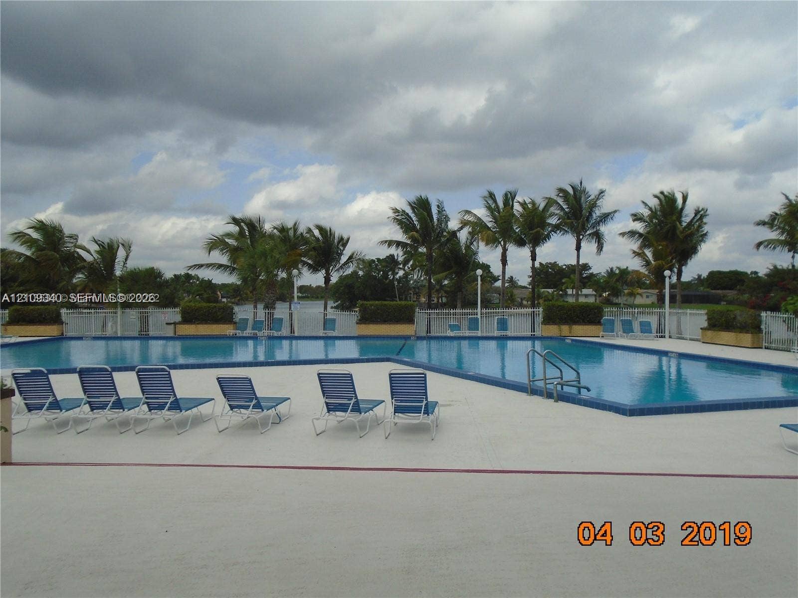 Swimming pool with a concrete deck, metal perimeter fencing, and mature palm trees