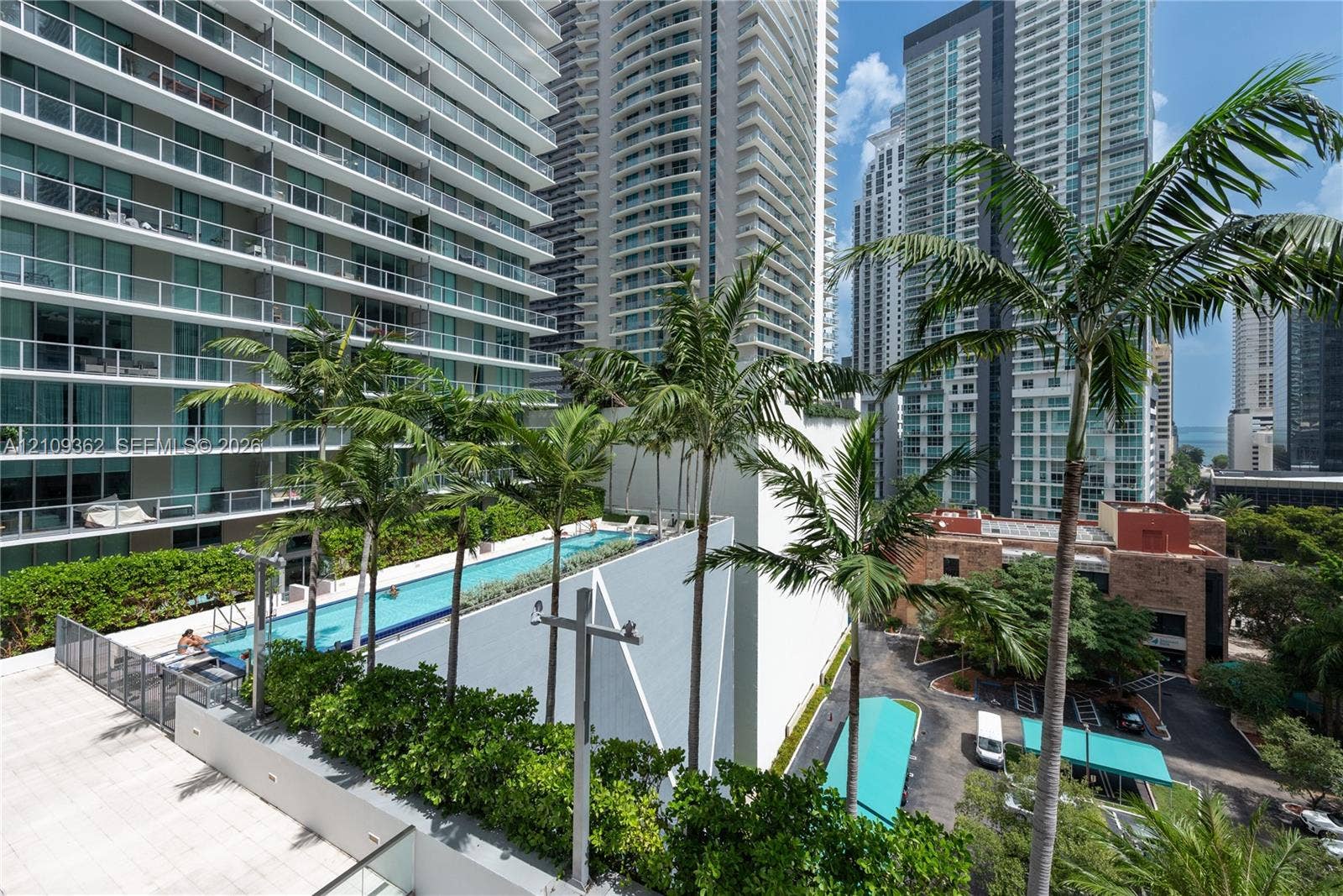 79 SW 12th Street, #1107-S, Miami, FL 33130 Outdoor terrace featuring a raised lap pool, tiled sundeck, perimeter privacy hedging, and mature palm trees