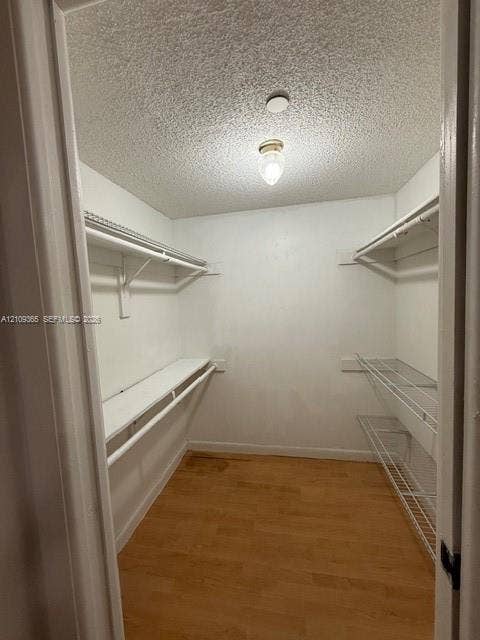Walk-in closet featuring wood-finish flooring, multi-tiered wire shelving, and a ceiling-mounted light fixture