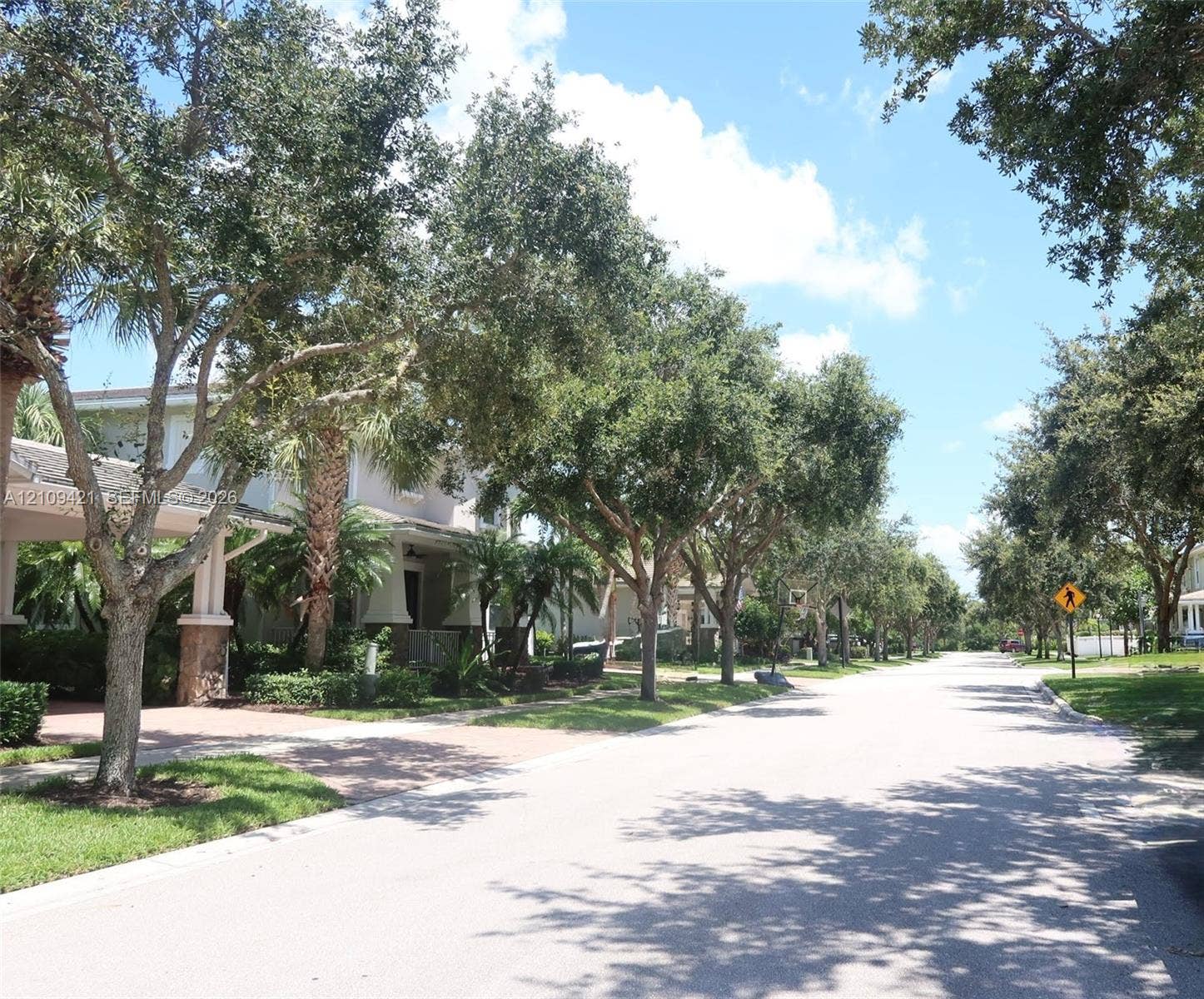 Streetscape featuring mature canopy trees, paved sidewalks, and lush landscaping