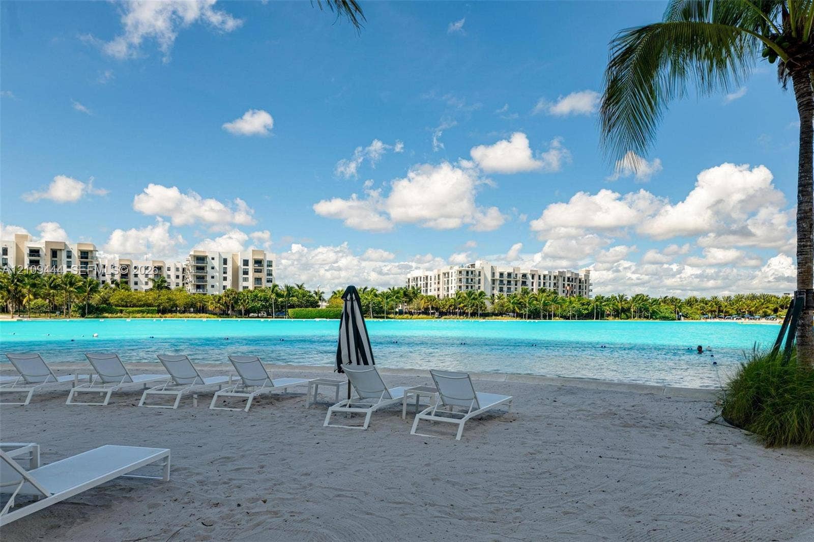 Sandy beach shoreline bordering a large lagoon with native palm trees and manicured tropical landscaping
